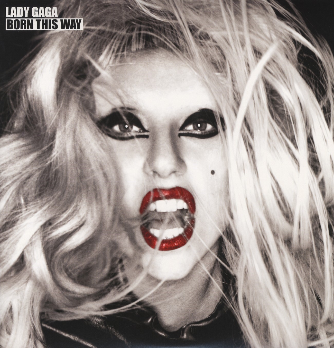Afbeelding van Lady Gaga - Born This Way