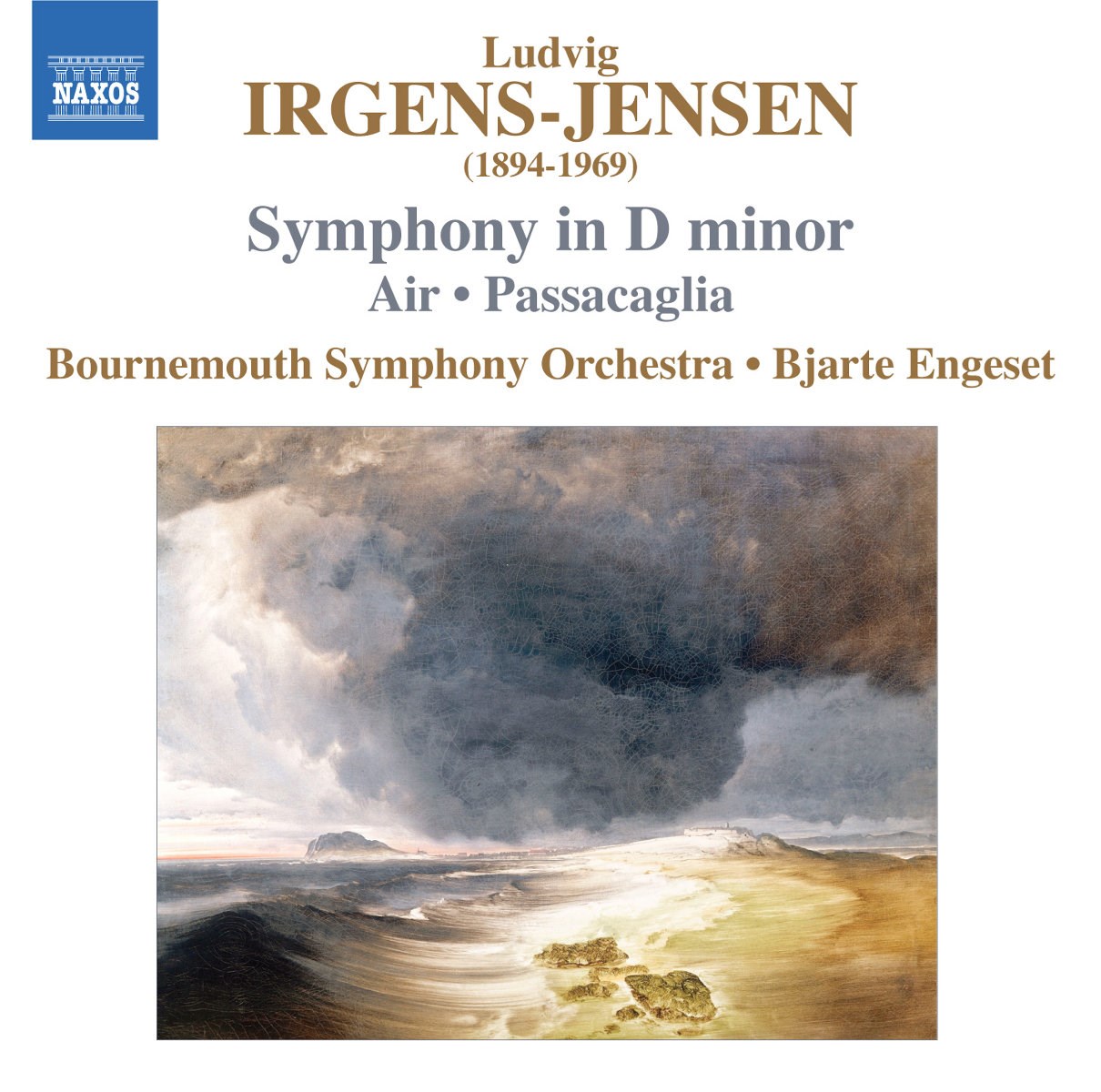 Afbeelding van Bournemouth Symphony Orchestra, Bjarte Engeset - Irgens-Jensen: Symphony In D Minor | Air | Passacaglia