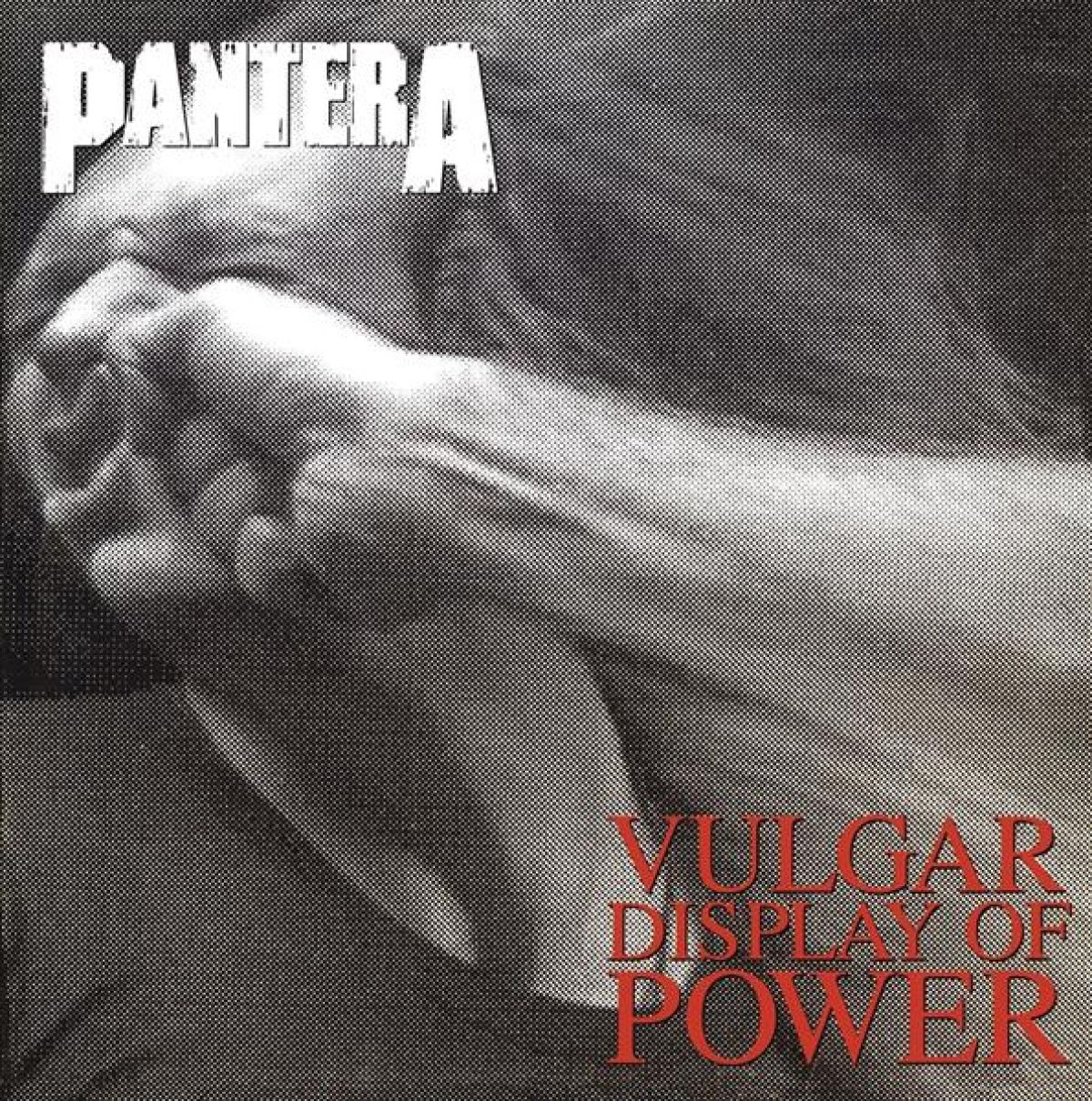 Afbeelding van Vulgar Display Of Power -180gr-