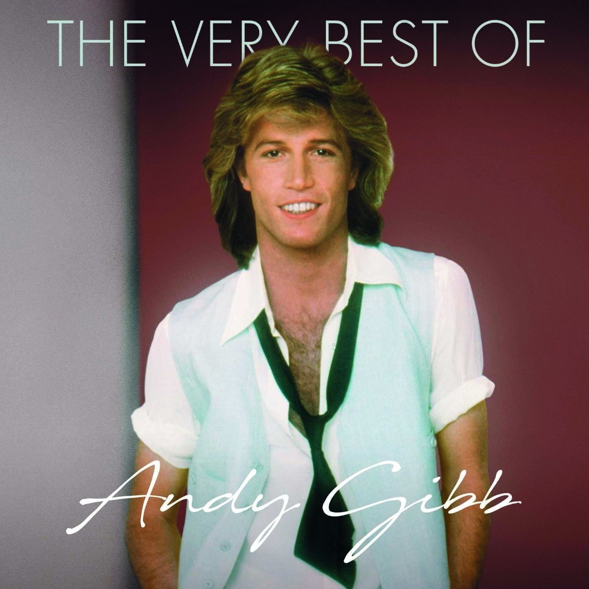 Afbeelding van Andy Gibb - The Very Best Of Andy Gibb