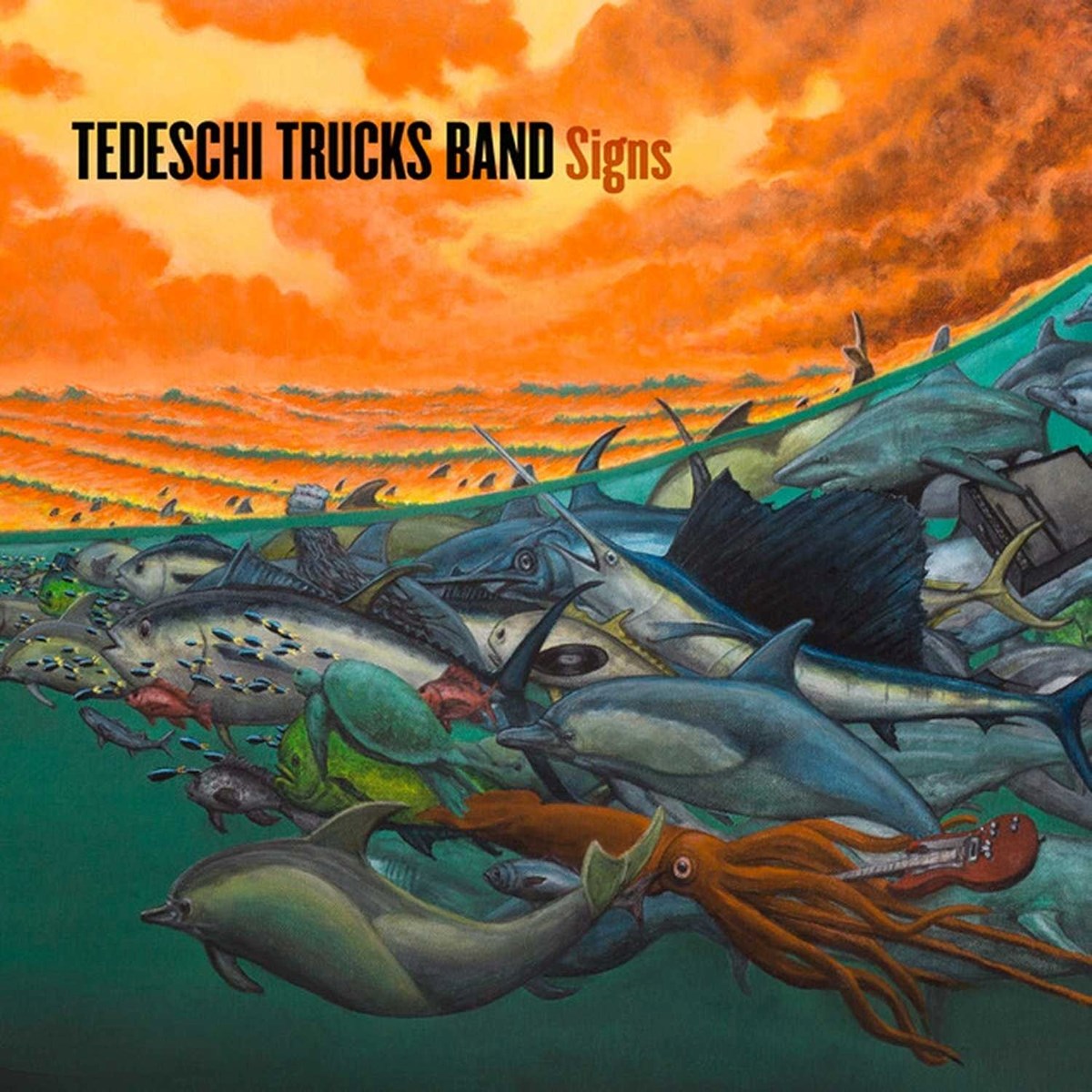 Afbeelding van Tedeschi Trucks Band - Signs