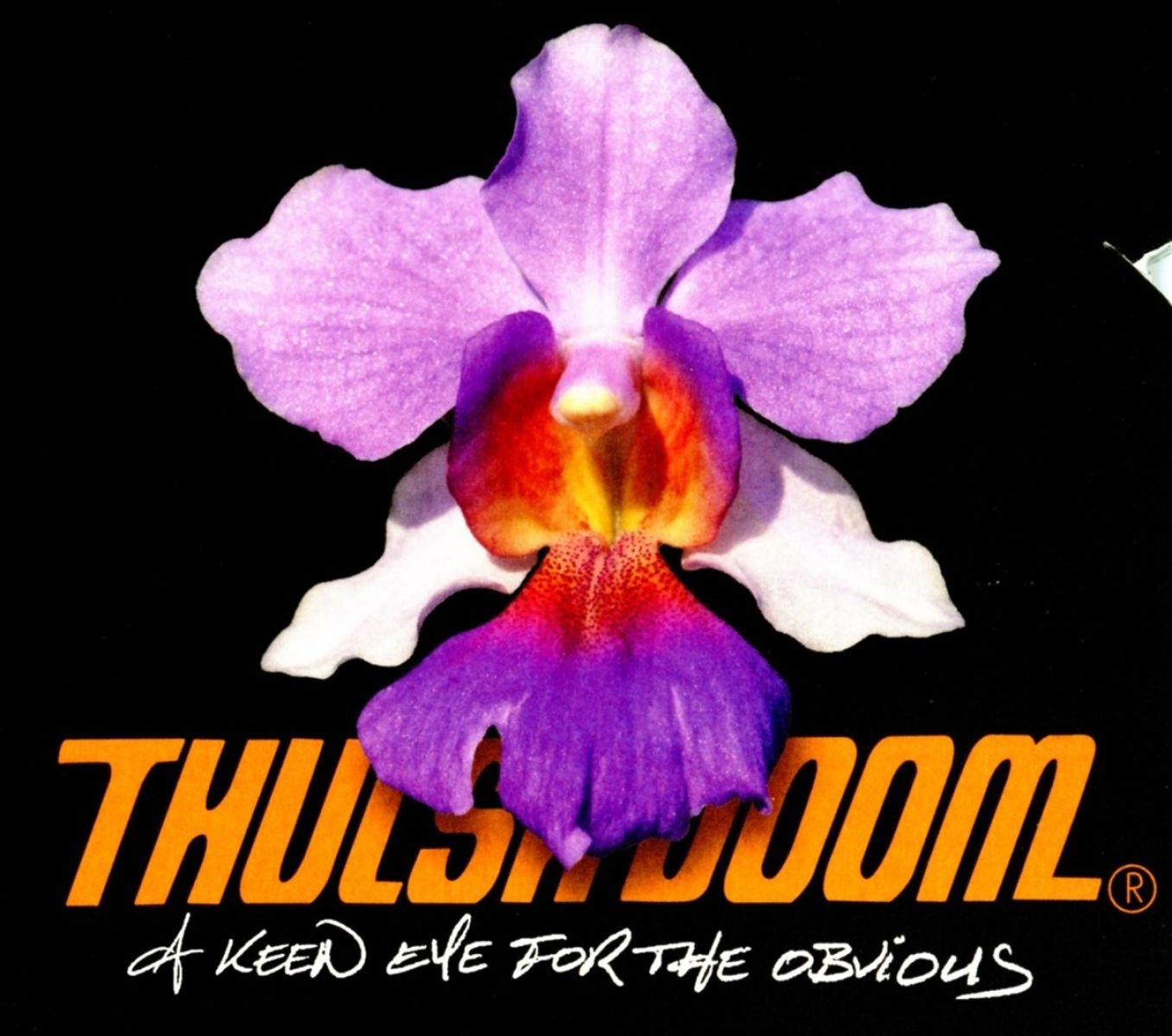 Afbeelding van Thulsa Doom - A Keen Eye For The Obvious