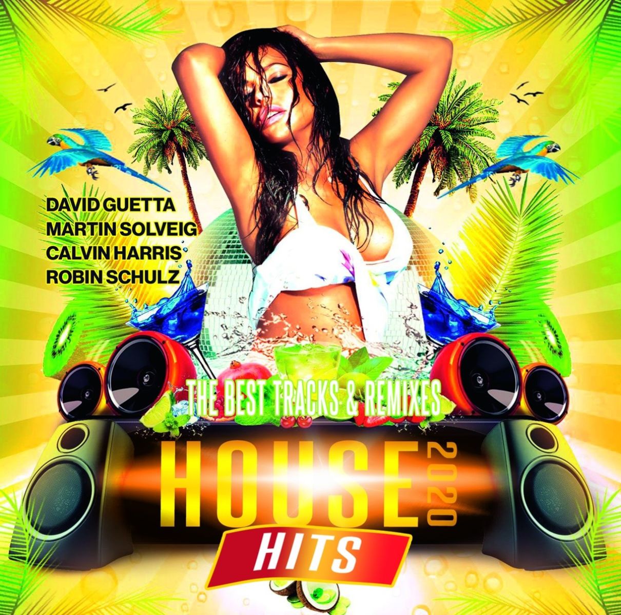 Various Artists - Hot House Hits 2020