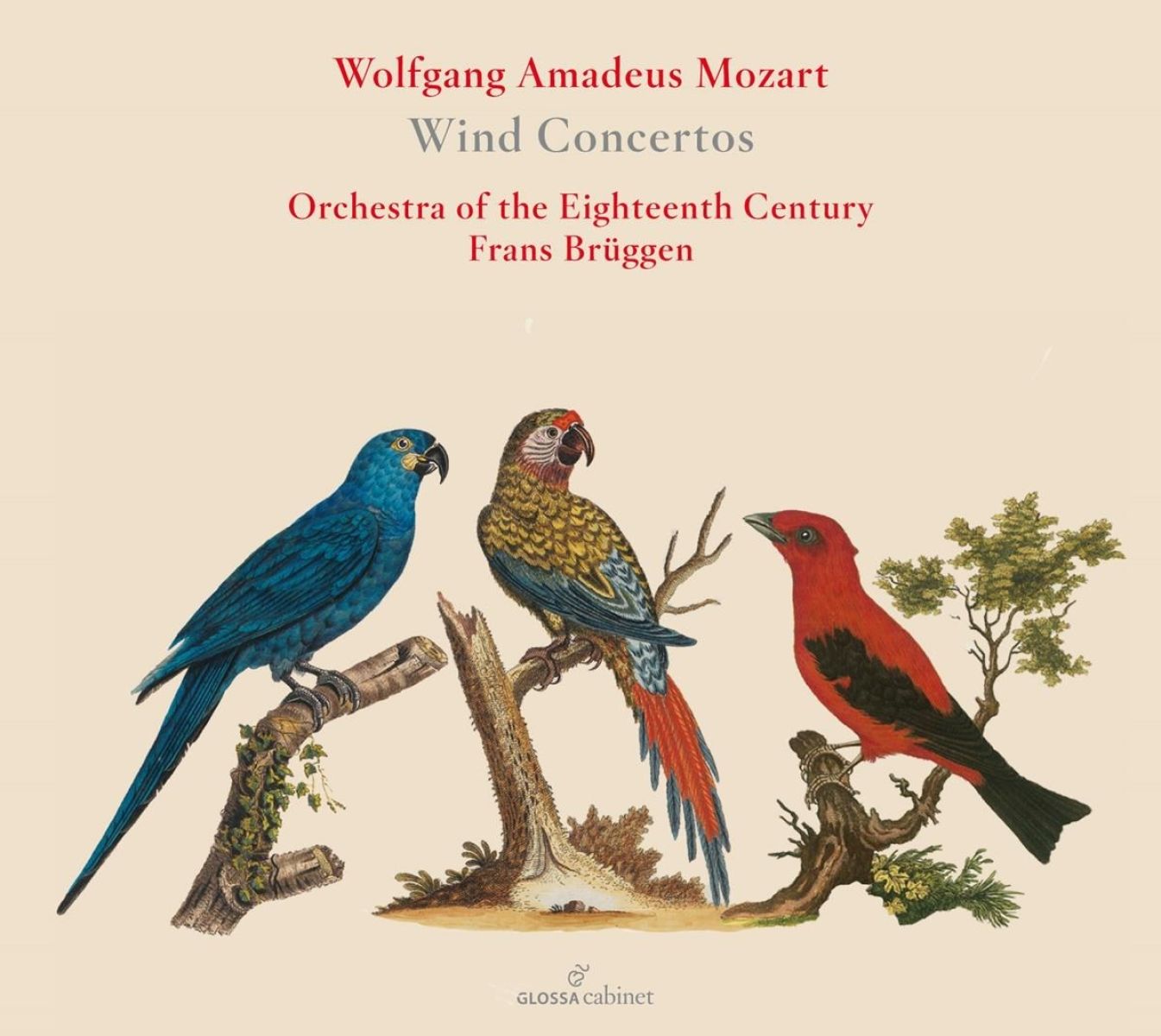 Afbeelding van Orchestra Of The Eighteenth Century - Mozart: Wind Concertos