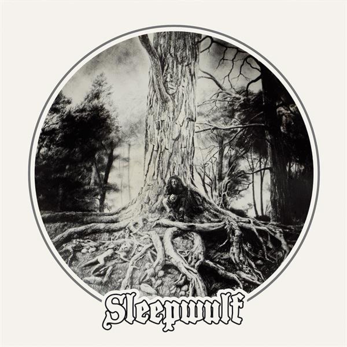 Afbeelding van Sleepwulf
