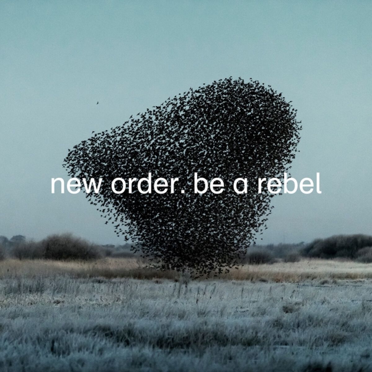 Afbeelding van New Order - Be A Rebel