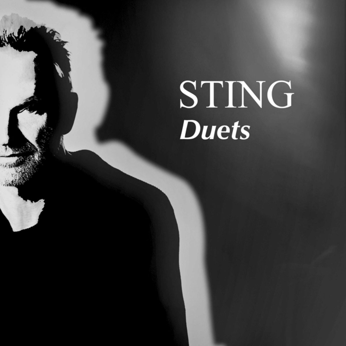 Afbeelding van Sting - Duets