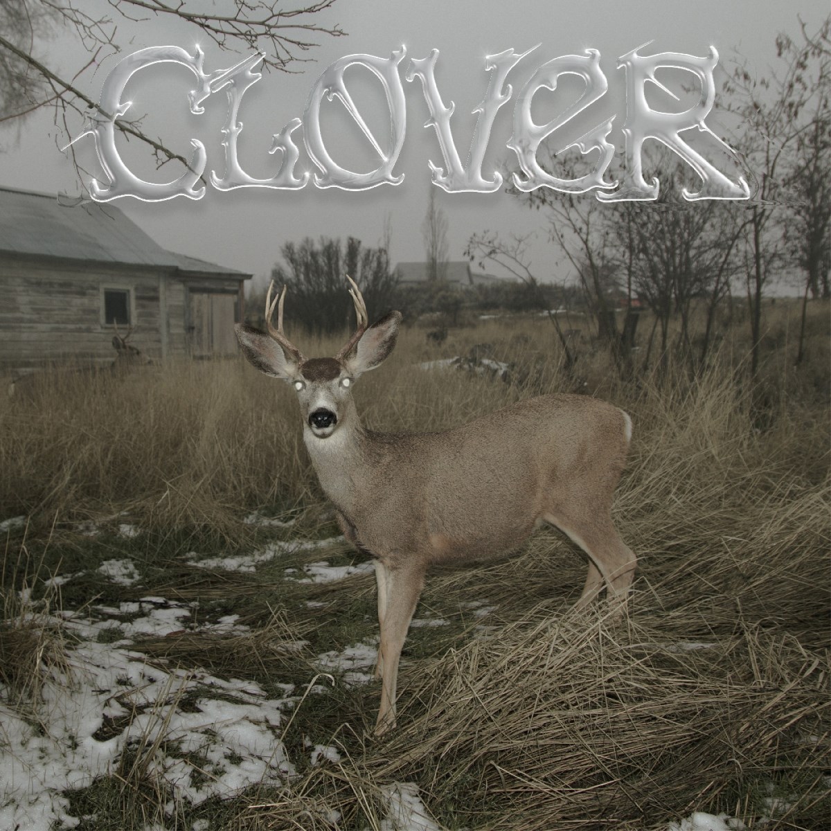Afbeelding van Sleeper's Bell - Clover
