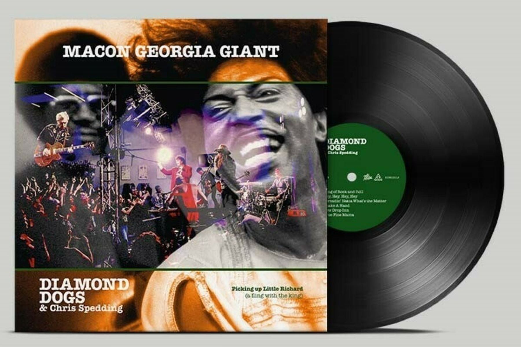 Afbeelding van Macon Georgia Giant