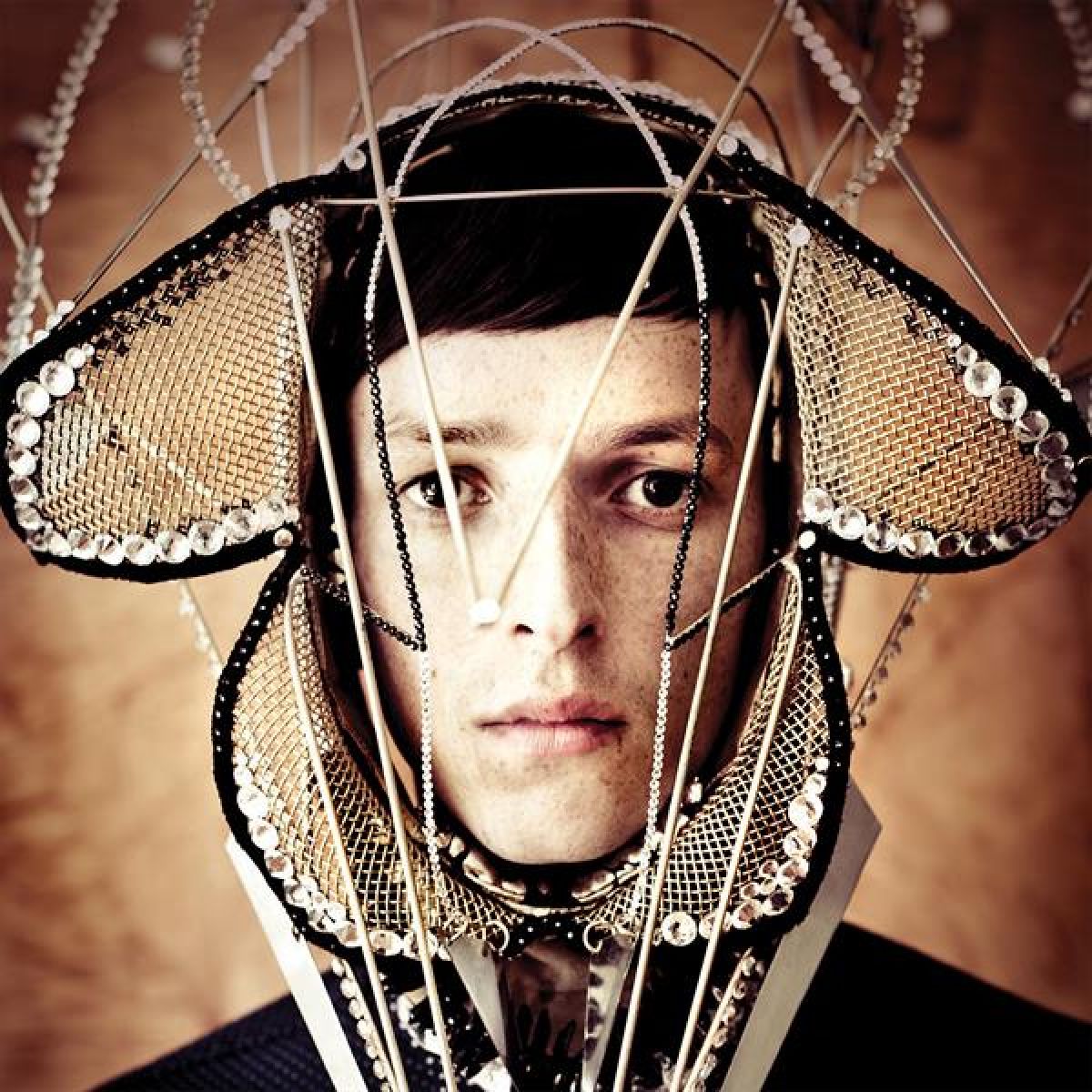 Totally Enormous Extinct Dinosaurs - Trouble
