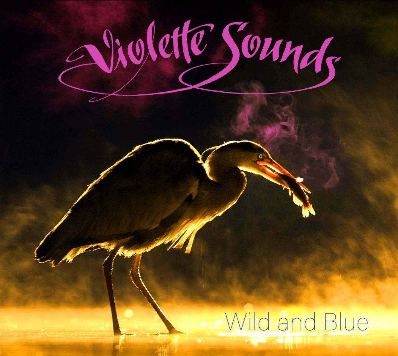 Violette Sounds - Wild And Blue