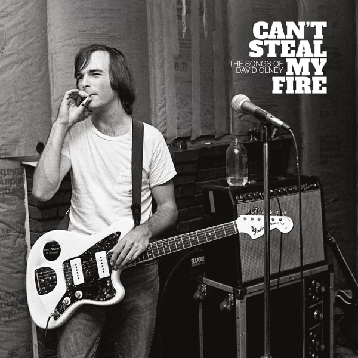 Various Artists - Can't Steal My Fire: The Songs Of David Olney