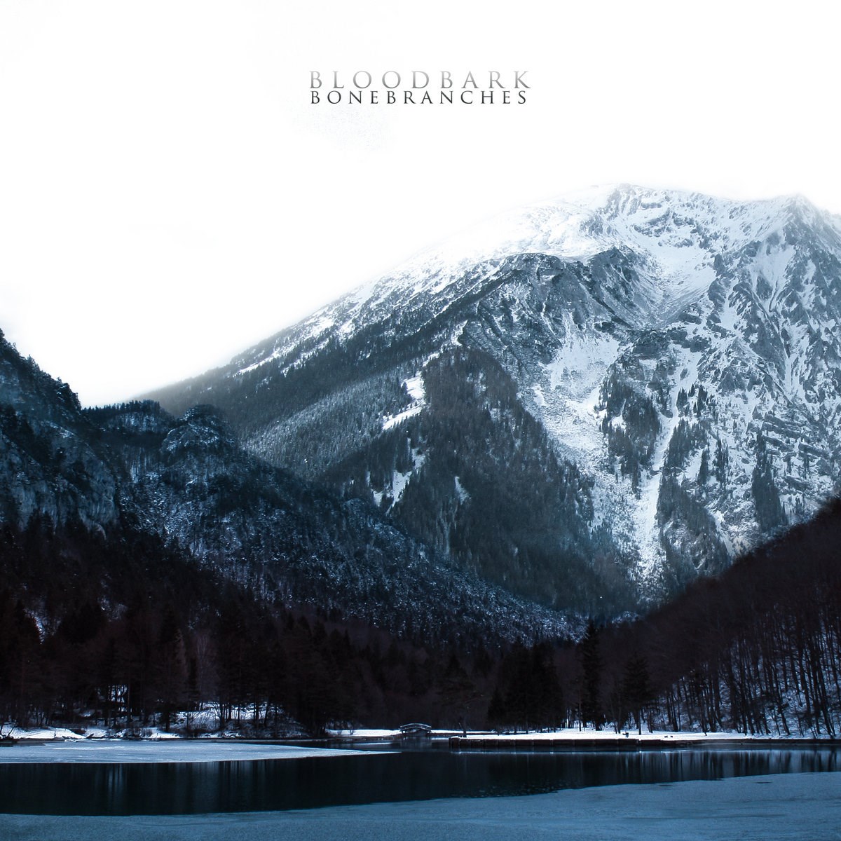 Afbeelding van Bloodbark - Bonebranches