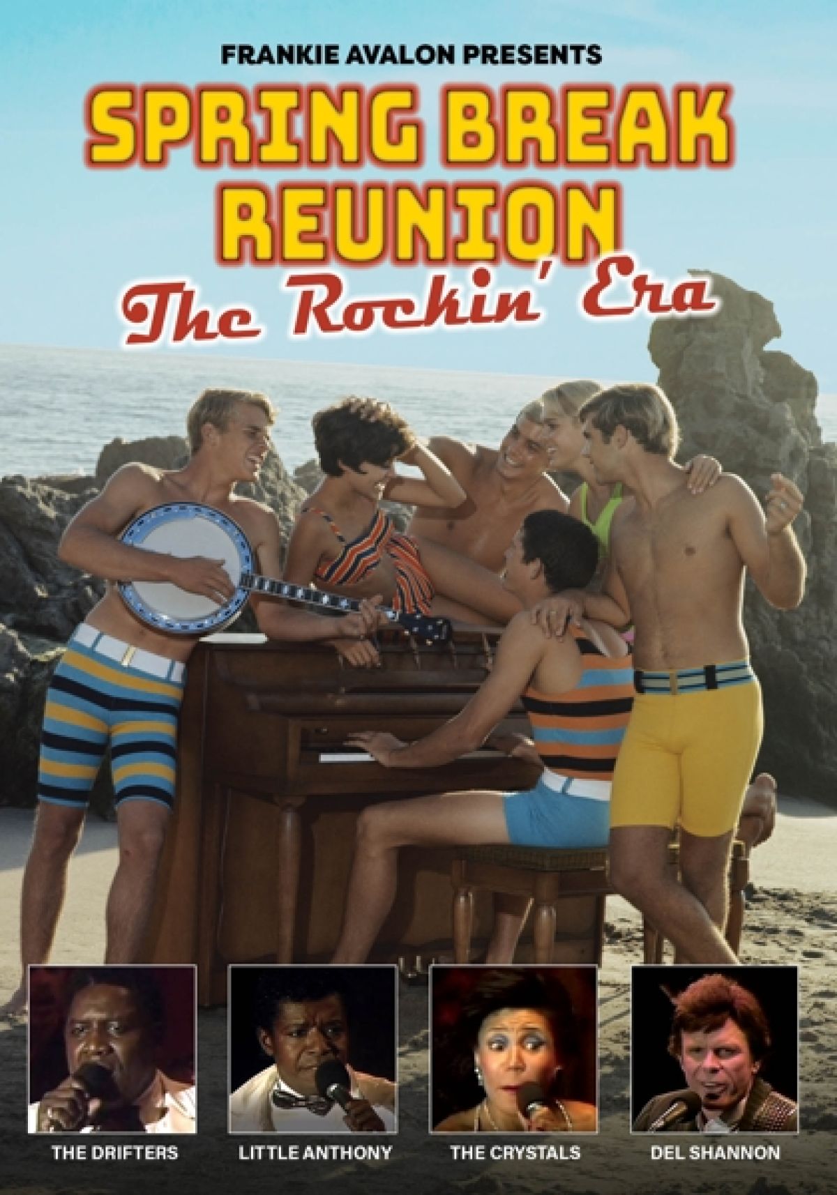 Afbeelding van Various Artists - Spring Break Reunion: The Rockin' Era