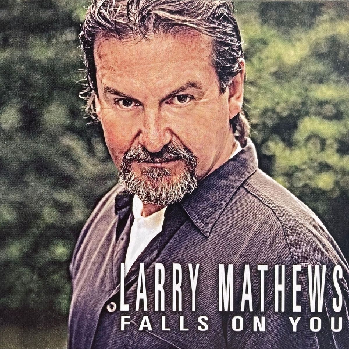 Afbeelding van Larry Mathews - Falls On You
