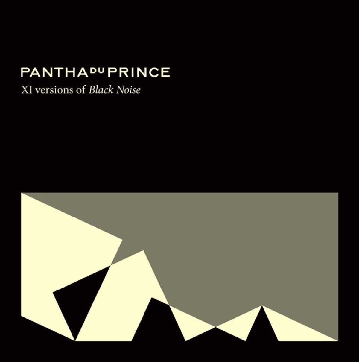 Afbeelding van Pantha Du Prince - XI Versions Of Black Noise
