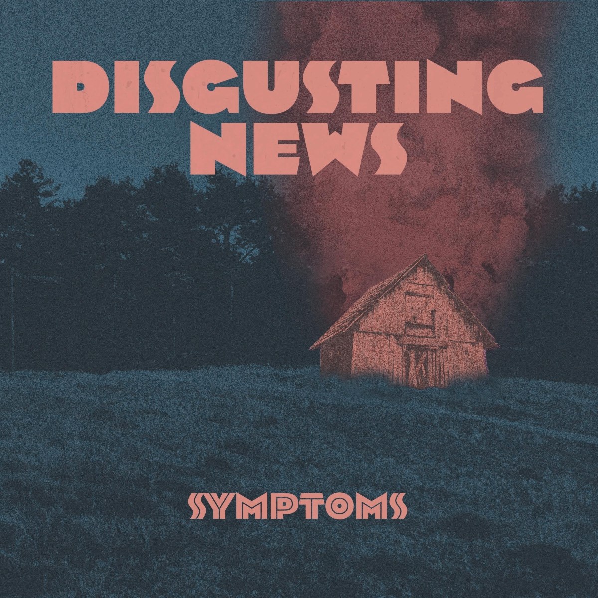 Afbeelding van Disgusting News - Symptoms