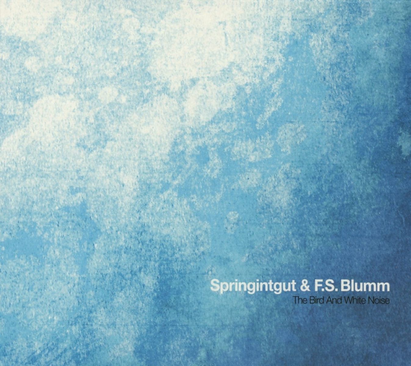 Springintgut & F.S.Blumm - The Bird And White Noise