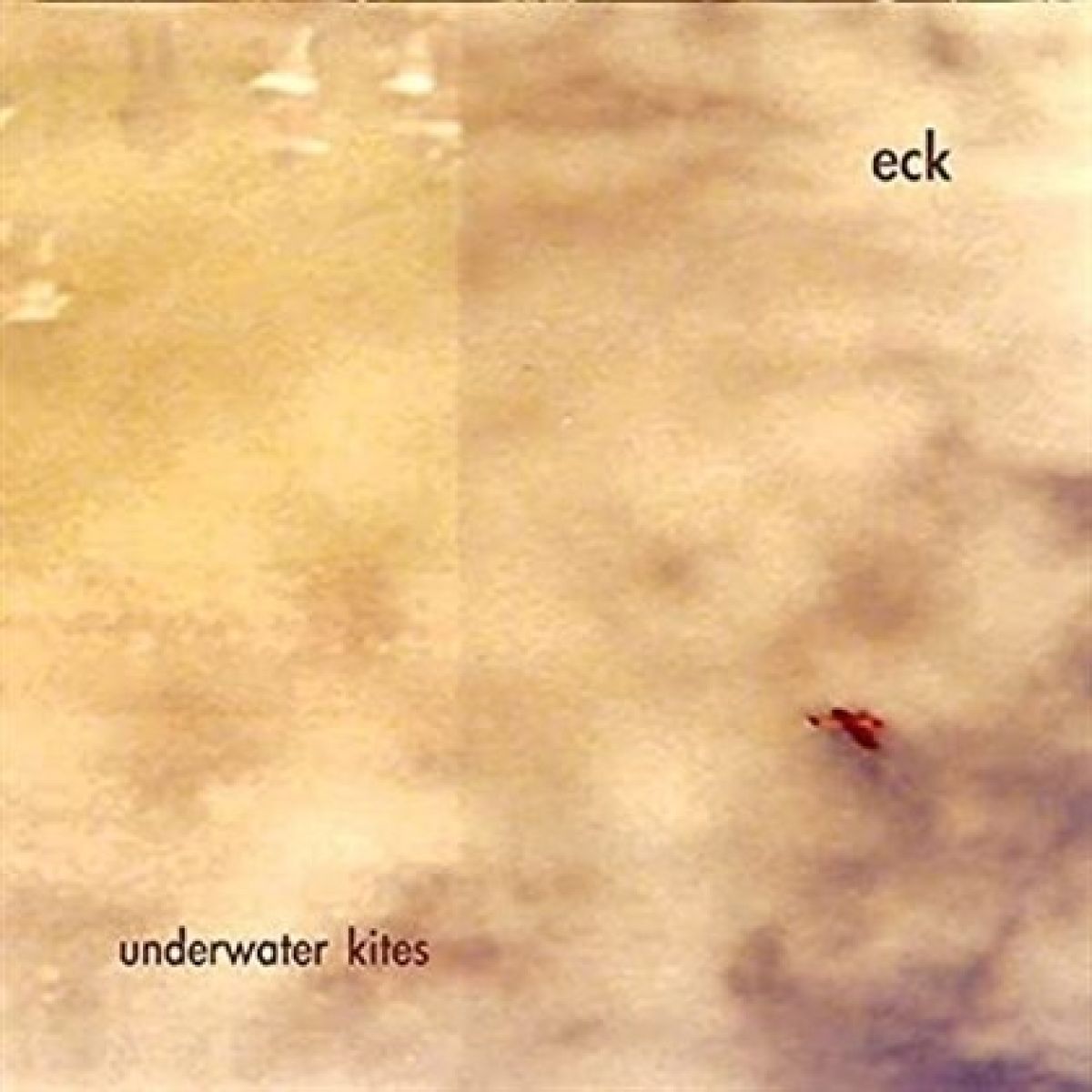 Afbeelding van Underwater Kites - Eck