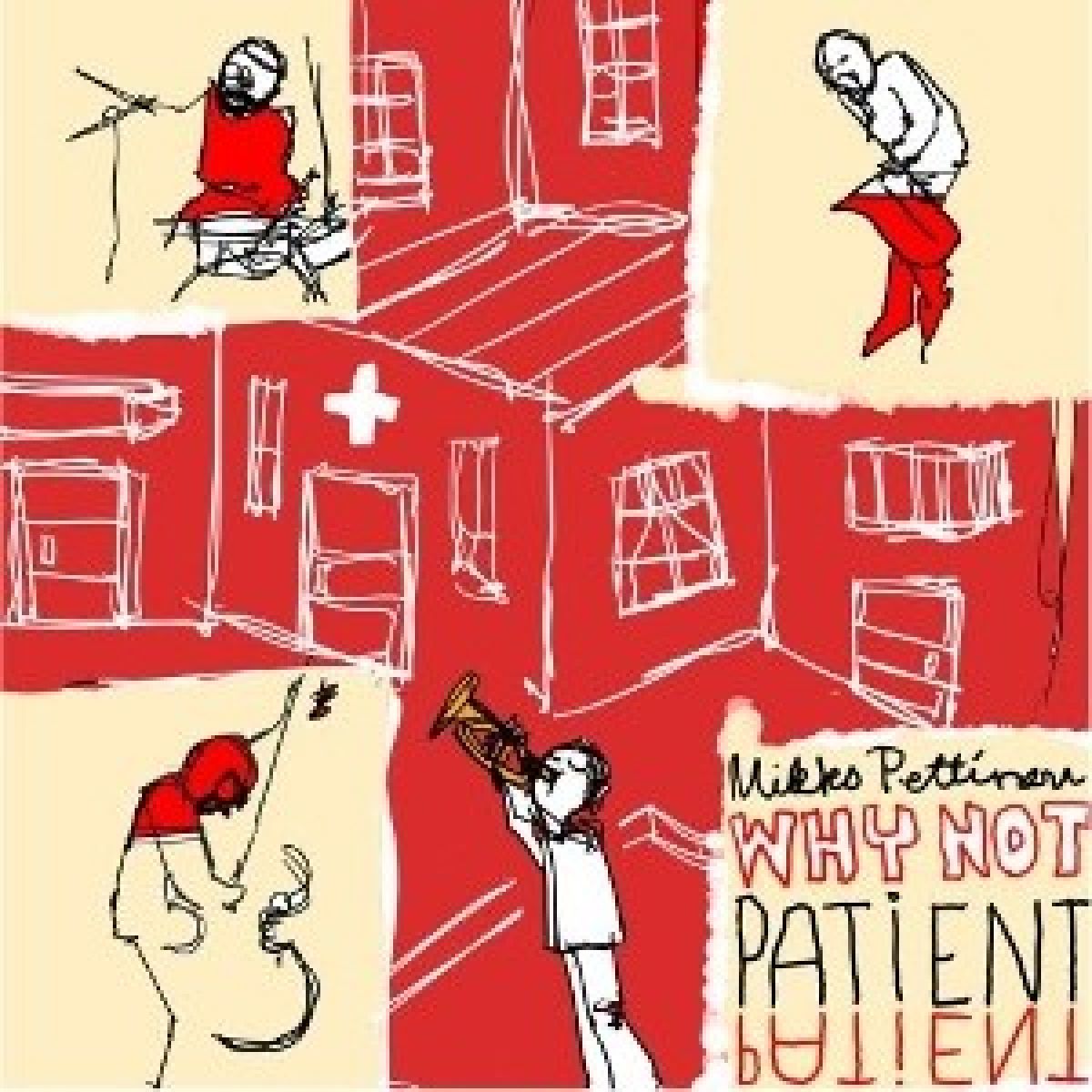 Afbeelding van Mikko Pettinen Why Not - Patient Patient