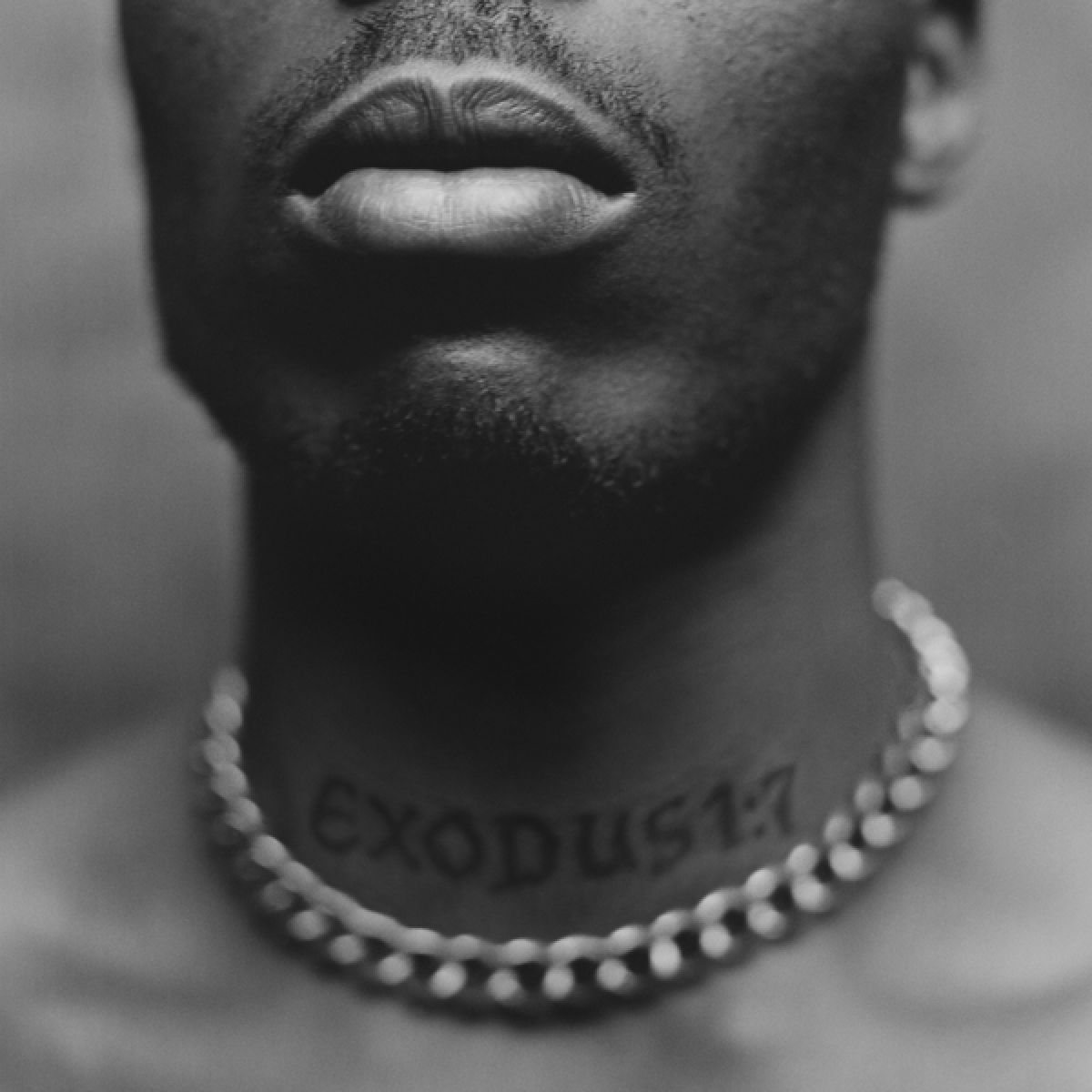 Afbeelding van DMX - Exodus