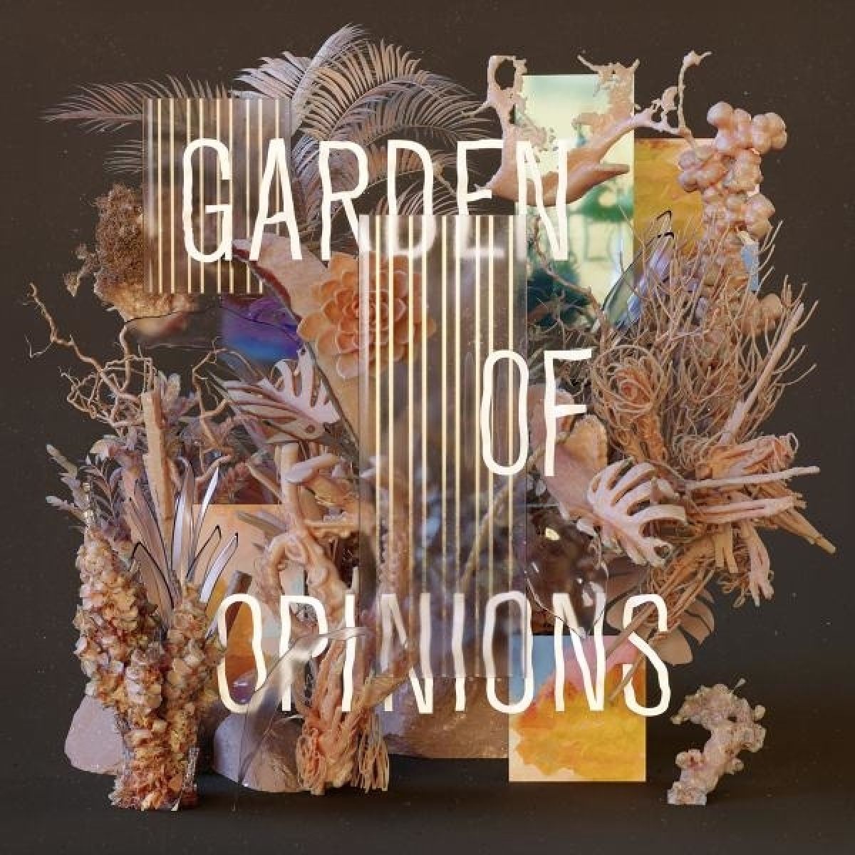 Afbeelding van Footprint Project - Garden Of Opinions