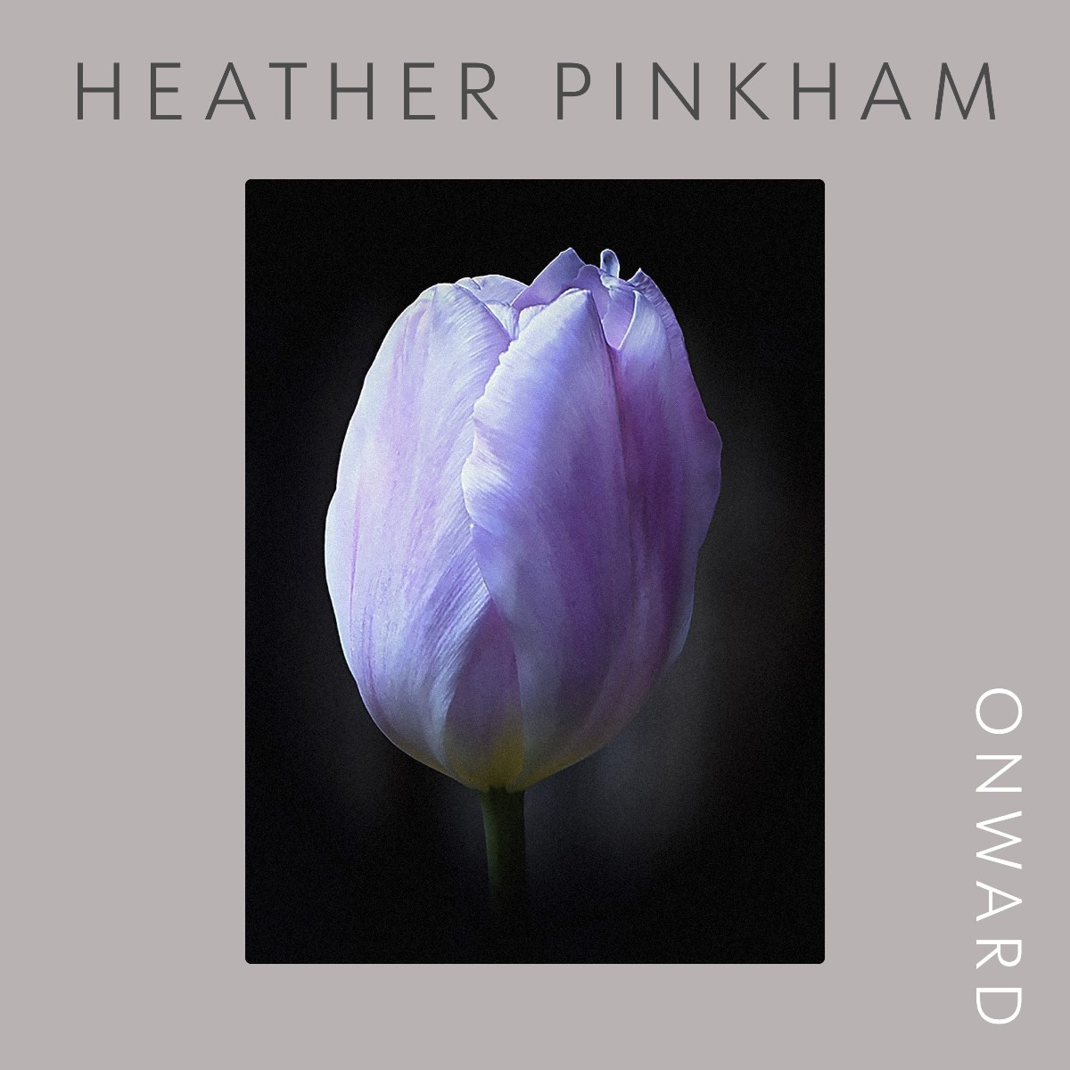 Afbeelding van Heather Pinkham - Onward