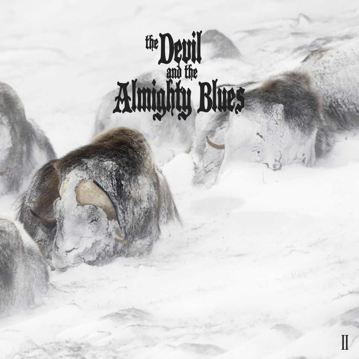 Afbeelding van Devil And The Almighty Blues - II