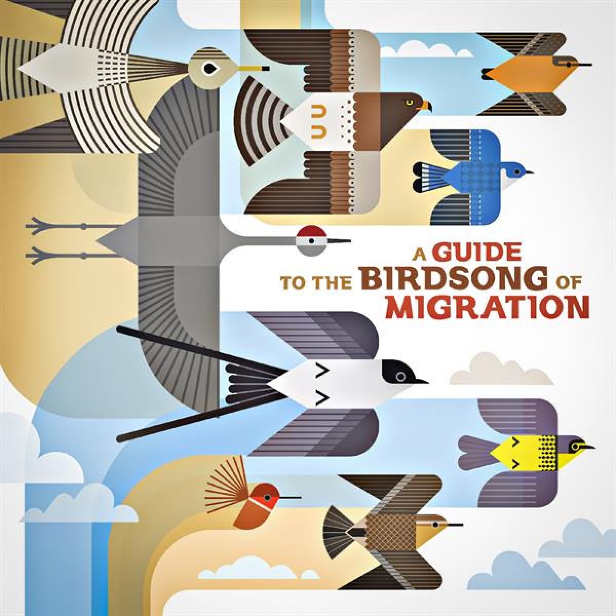 Afbeelding van Various Artists - A Guide To The Birdsong Of Migration