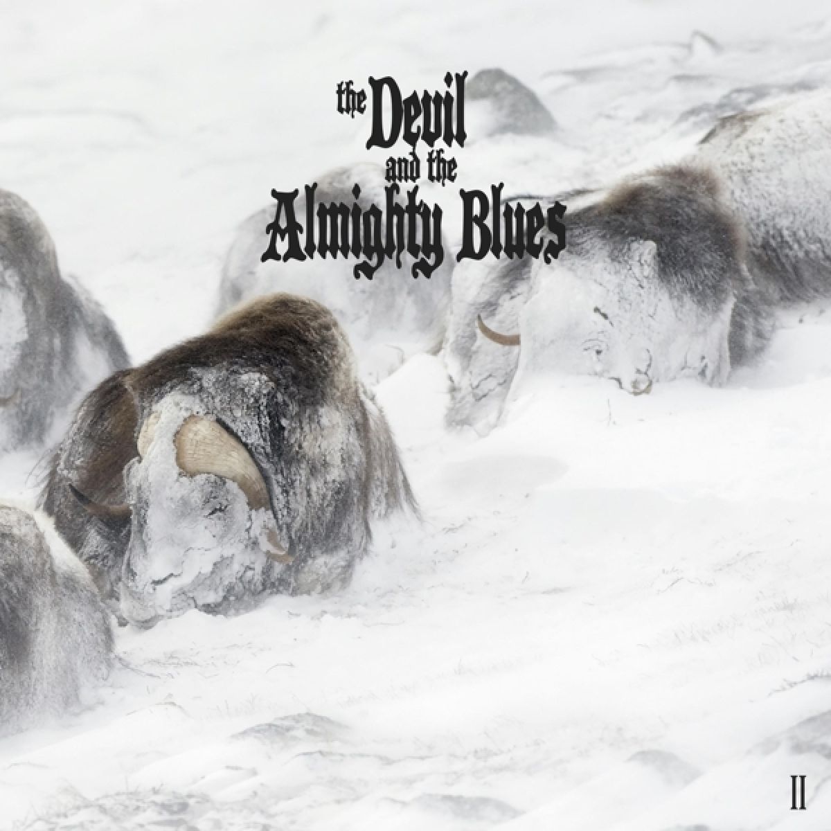 Afbeelding van The Devil And The Almighty Blues - II