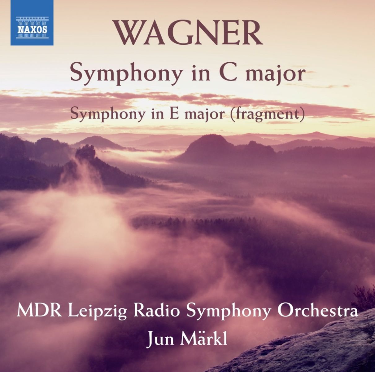 Afbeelding van Symphony In C Major/Symphony In E Major (fragment)