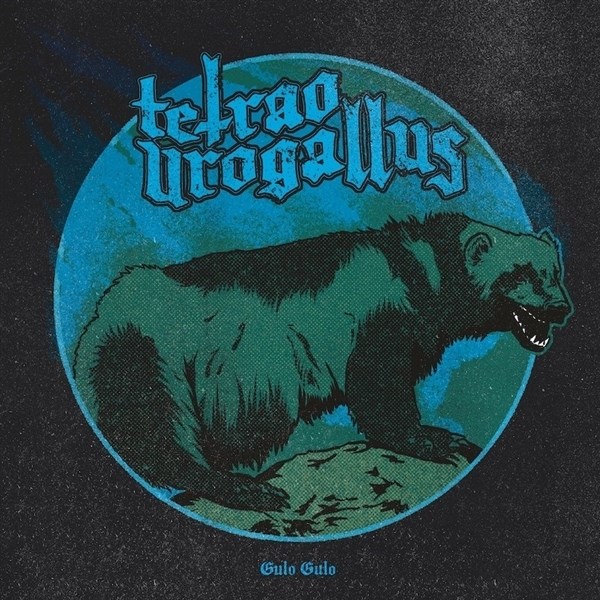 Afbeelding van Tetrao Urogallus - Gulo Gulo