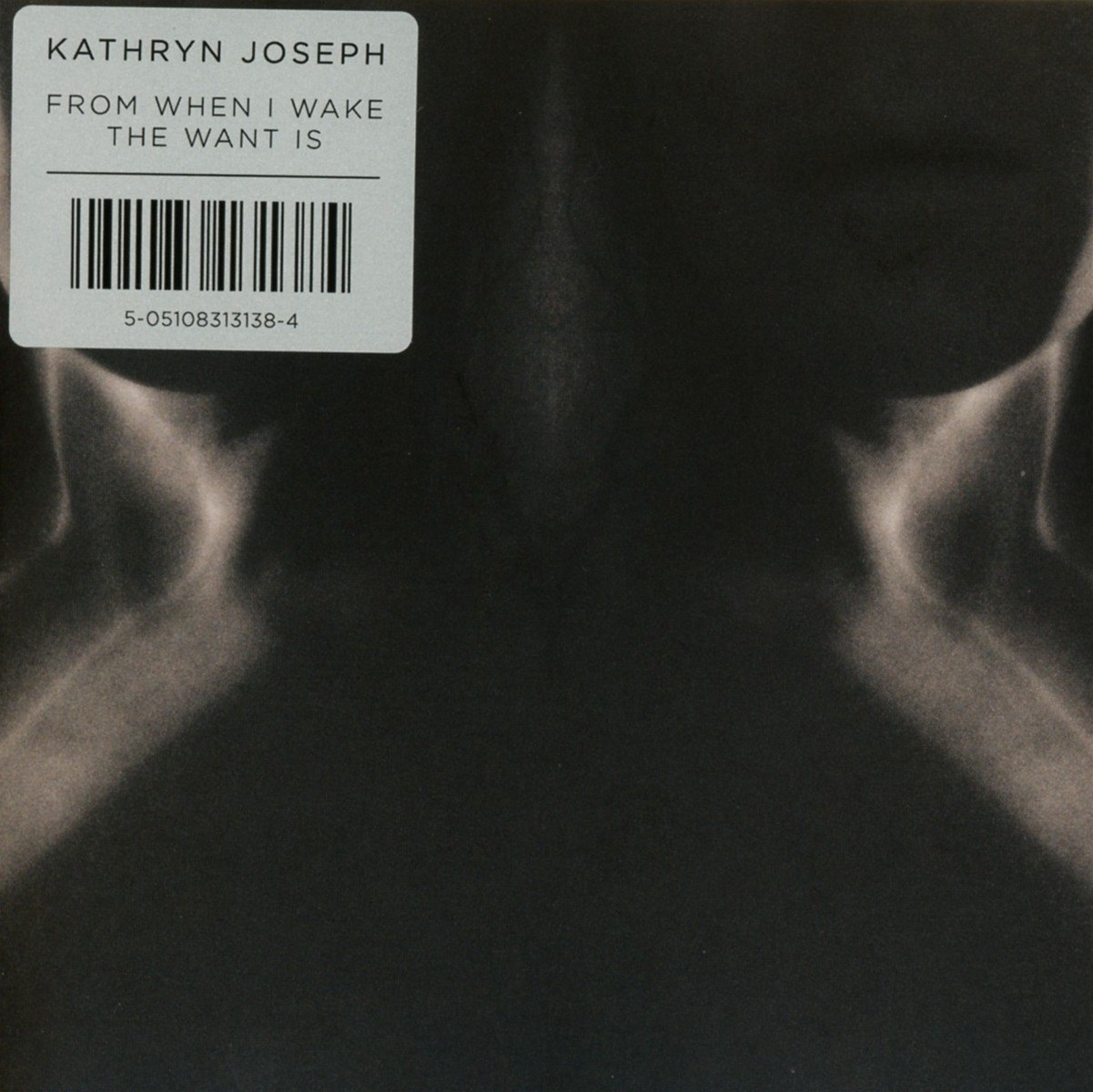 Kathryn Joseph - From When I Wake The Want Is