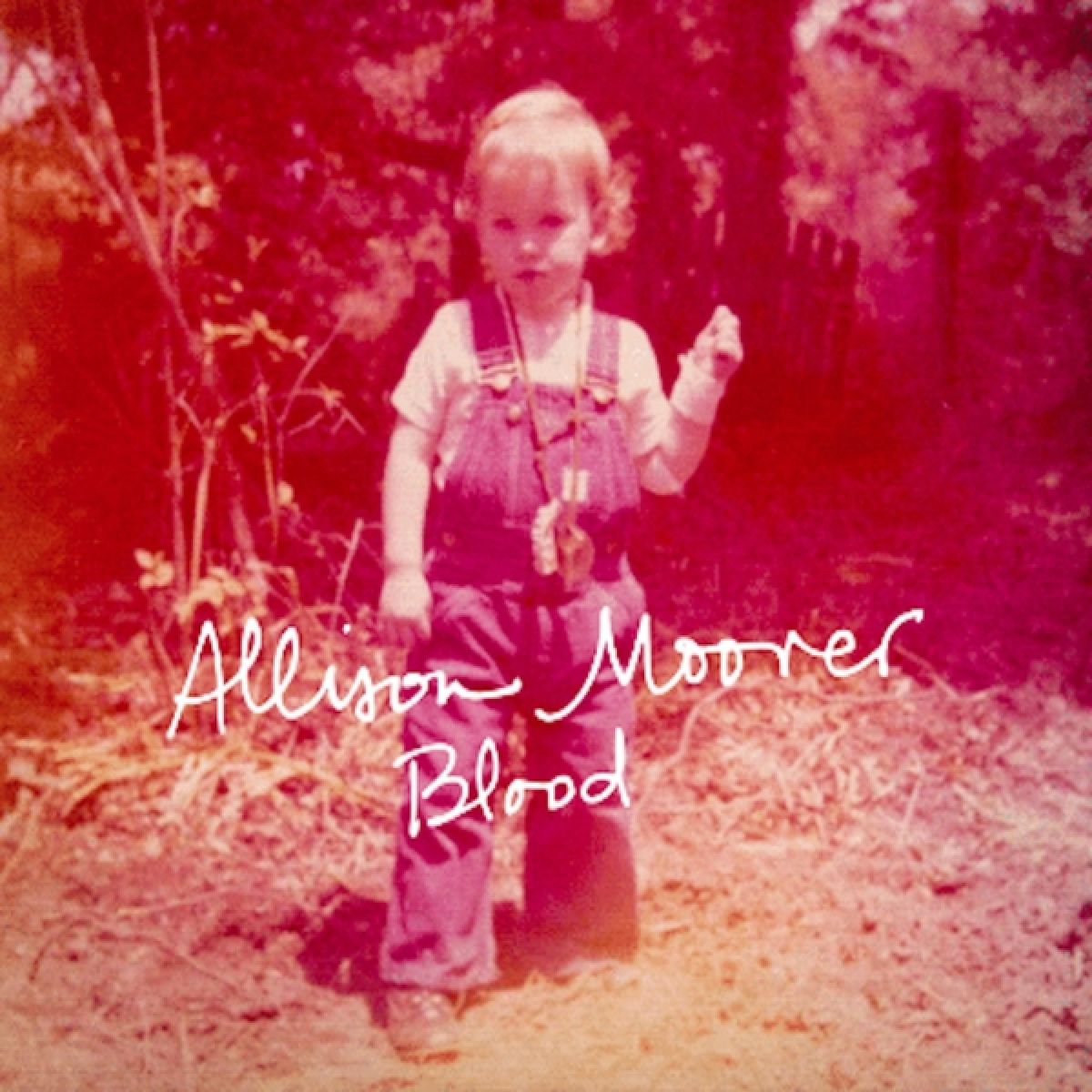 Afbeelding van Allison Moorer - Blood