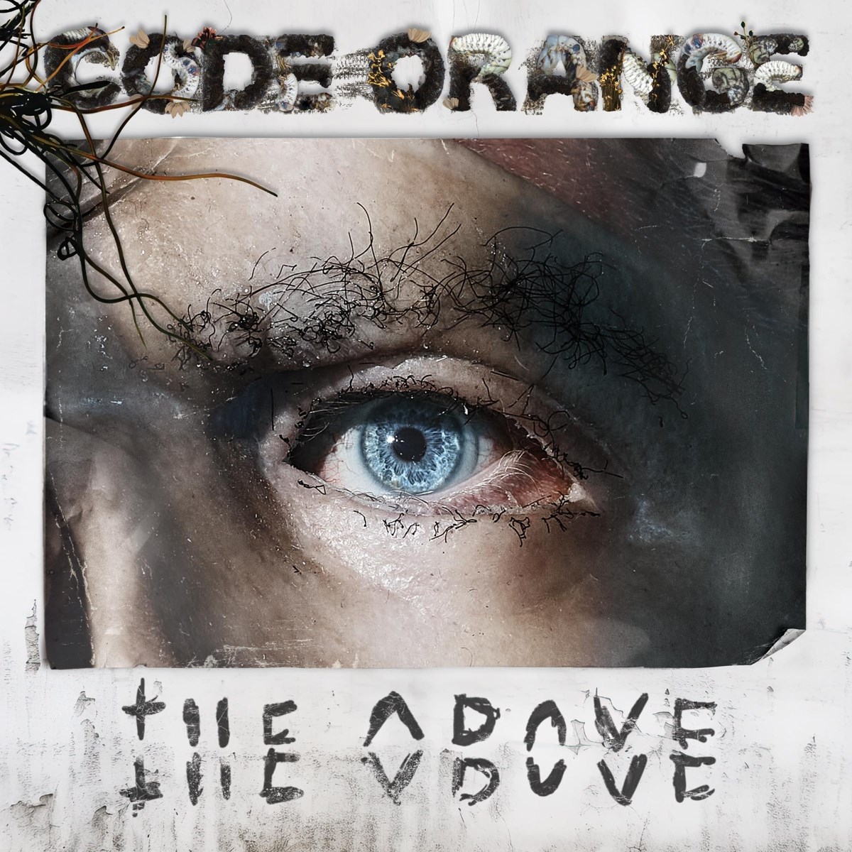 Afbeelding van Code Orange - The Above