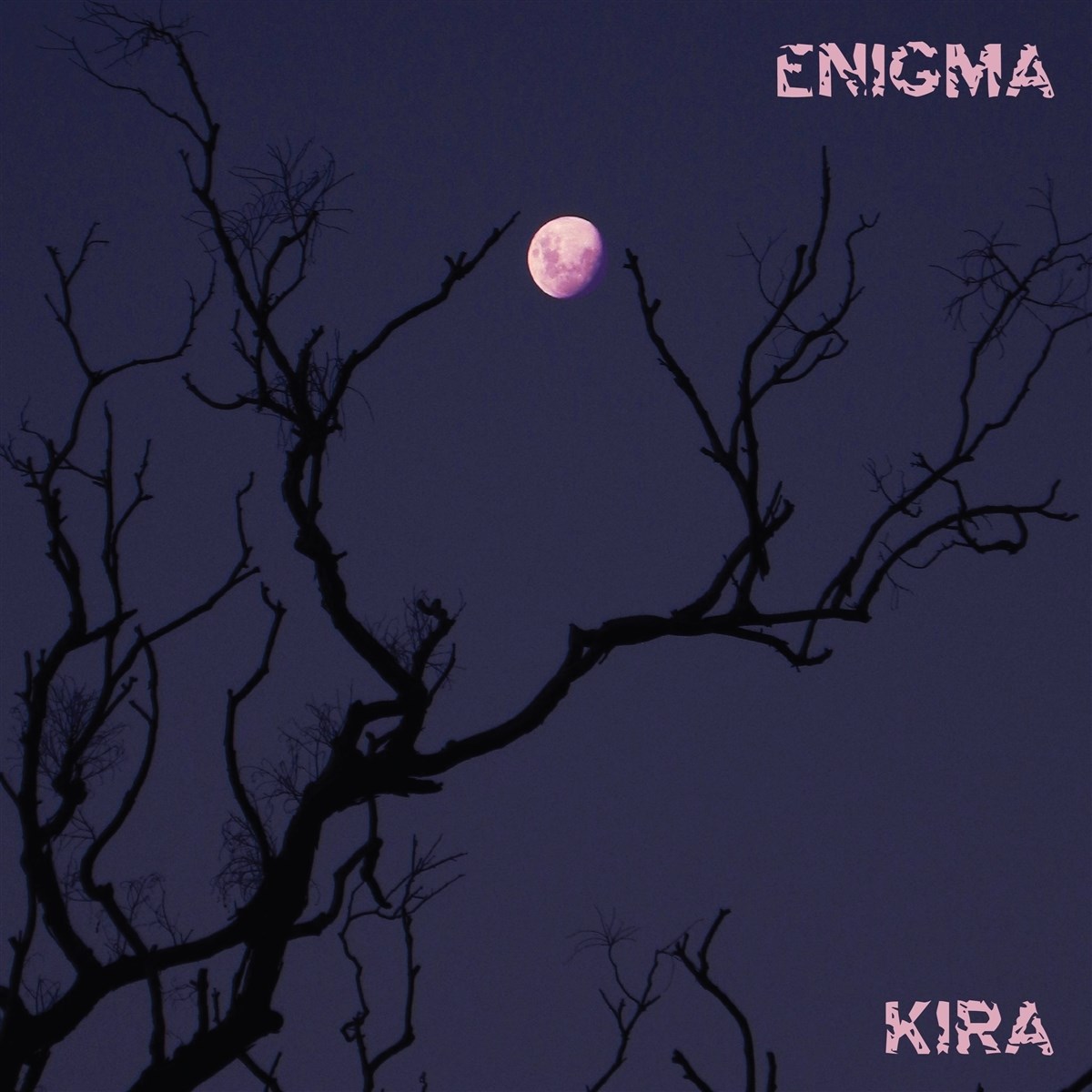 Afbeelding van Kira Roessler - Enigma