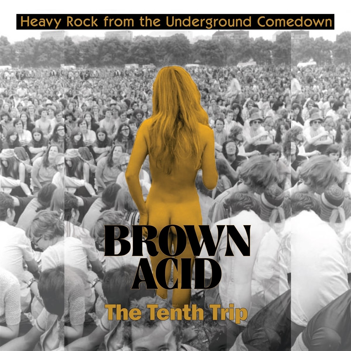 Afbeelding van Various Artists - Brown Acid: The Tenth Trip