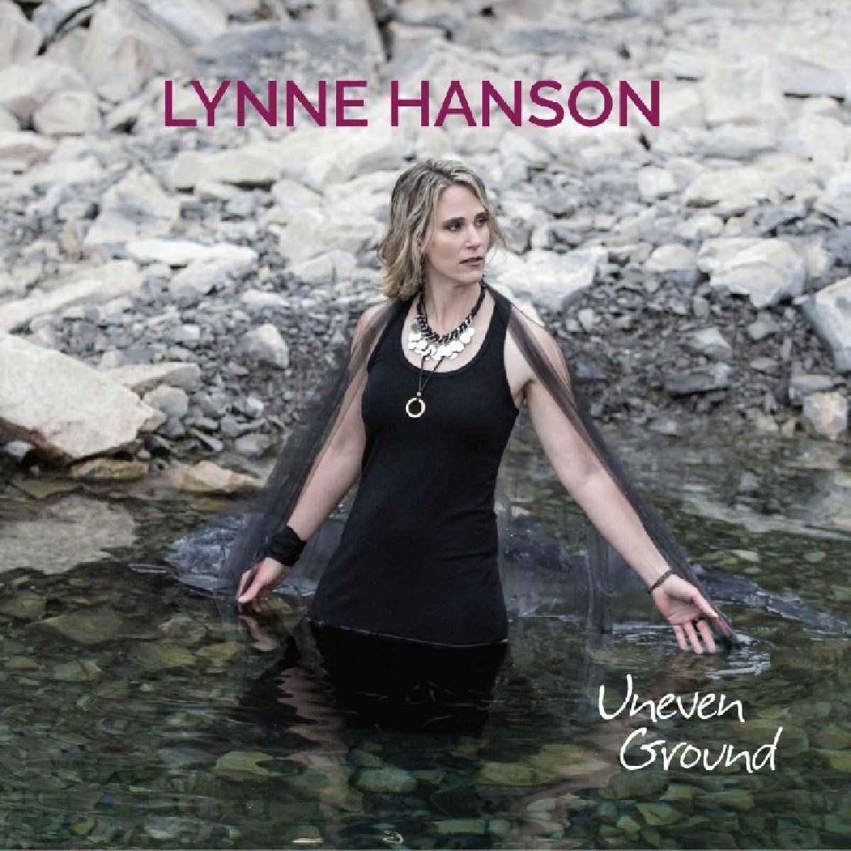 Afbeelding van Lynne Hanson - Uneven Ground