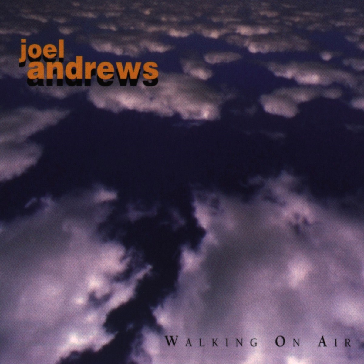 Afbeelding van Joel Andrews - Walking On Air