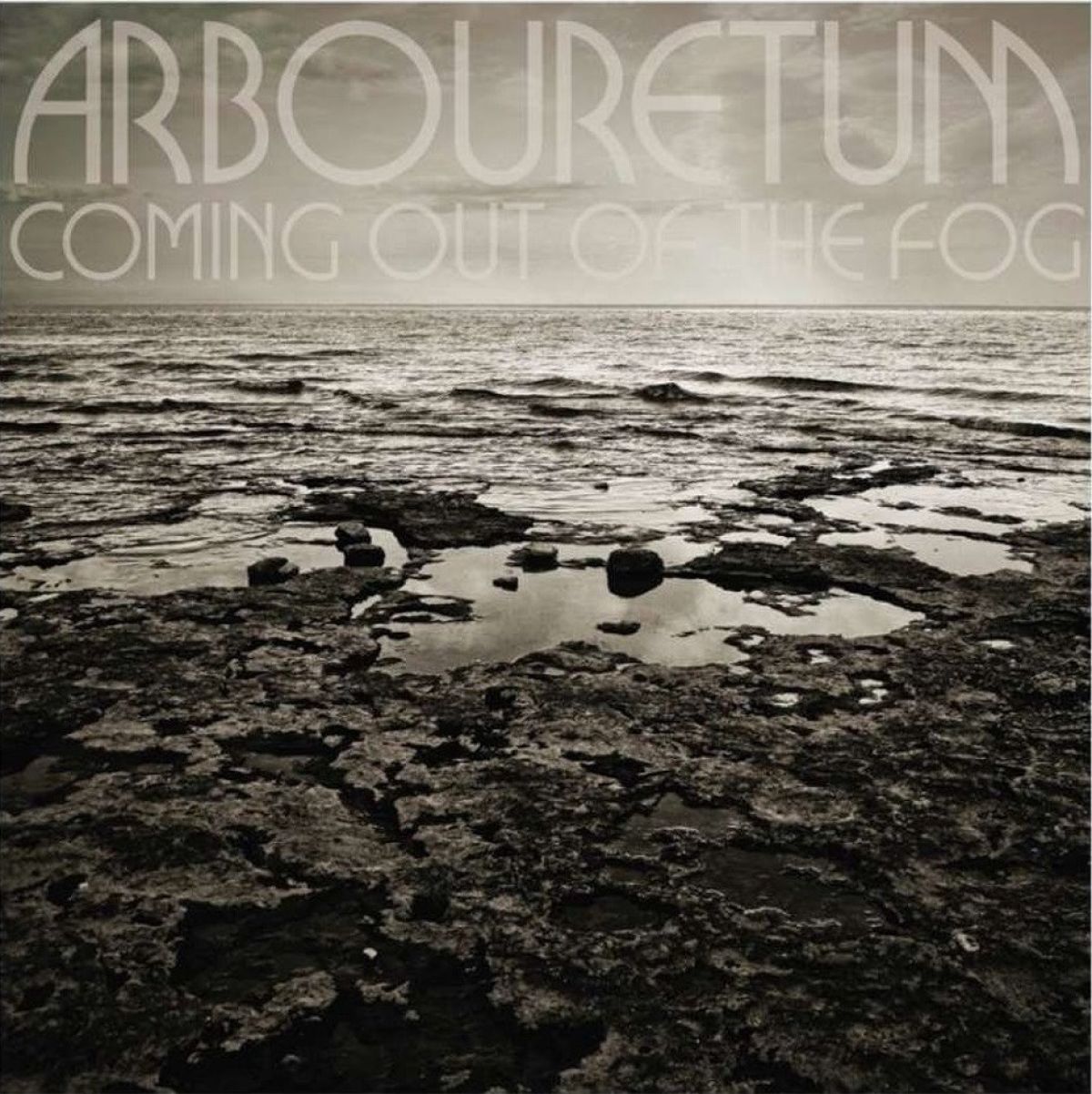 Afbeelding van Arbouretum - Coming Out Of The Fog