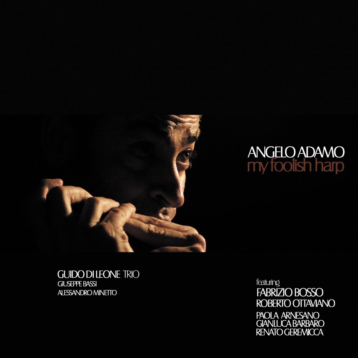 Afbeelding van Angelo Adamo - My Foolish Harp
