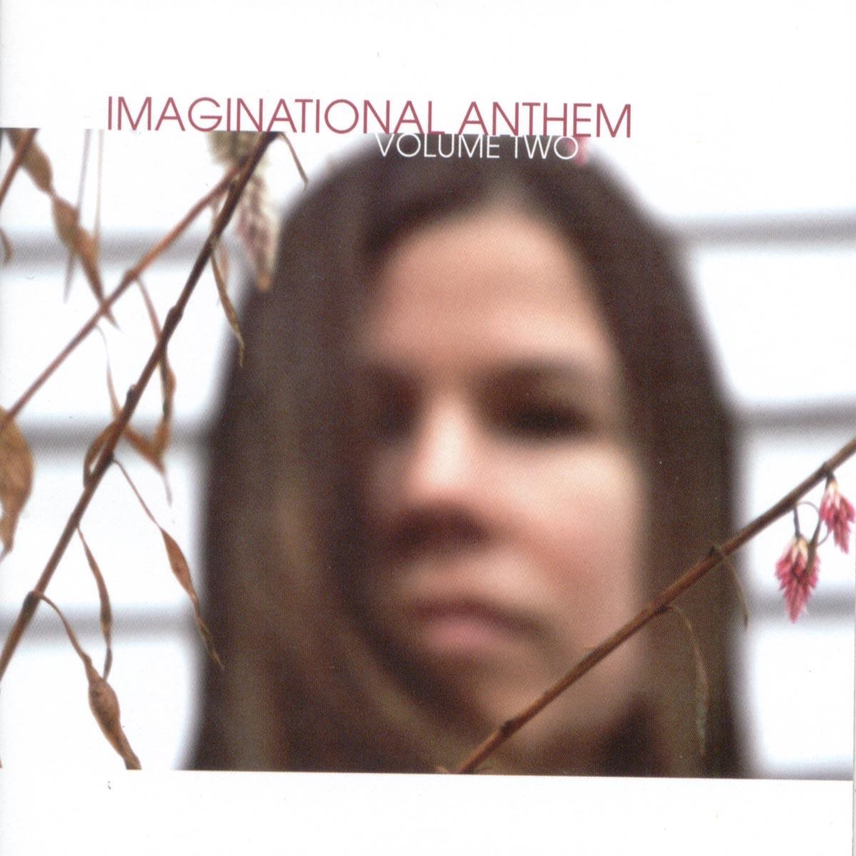 Afbeelding van Various Artists - Imaginational Anthem (Volume Two)