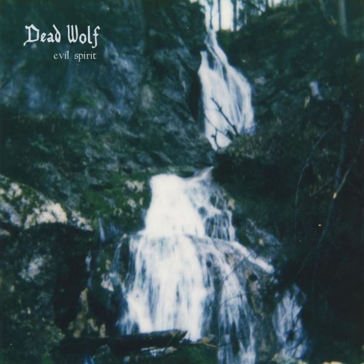 Afbeelding van Dead Wolf - Evil Spirit