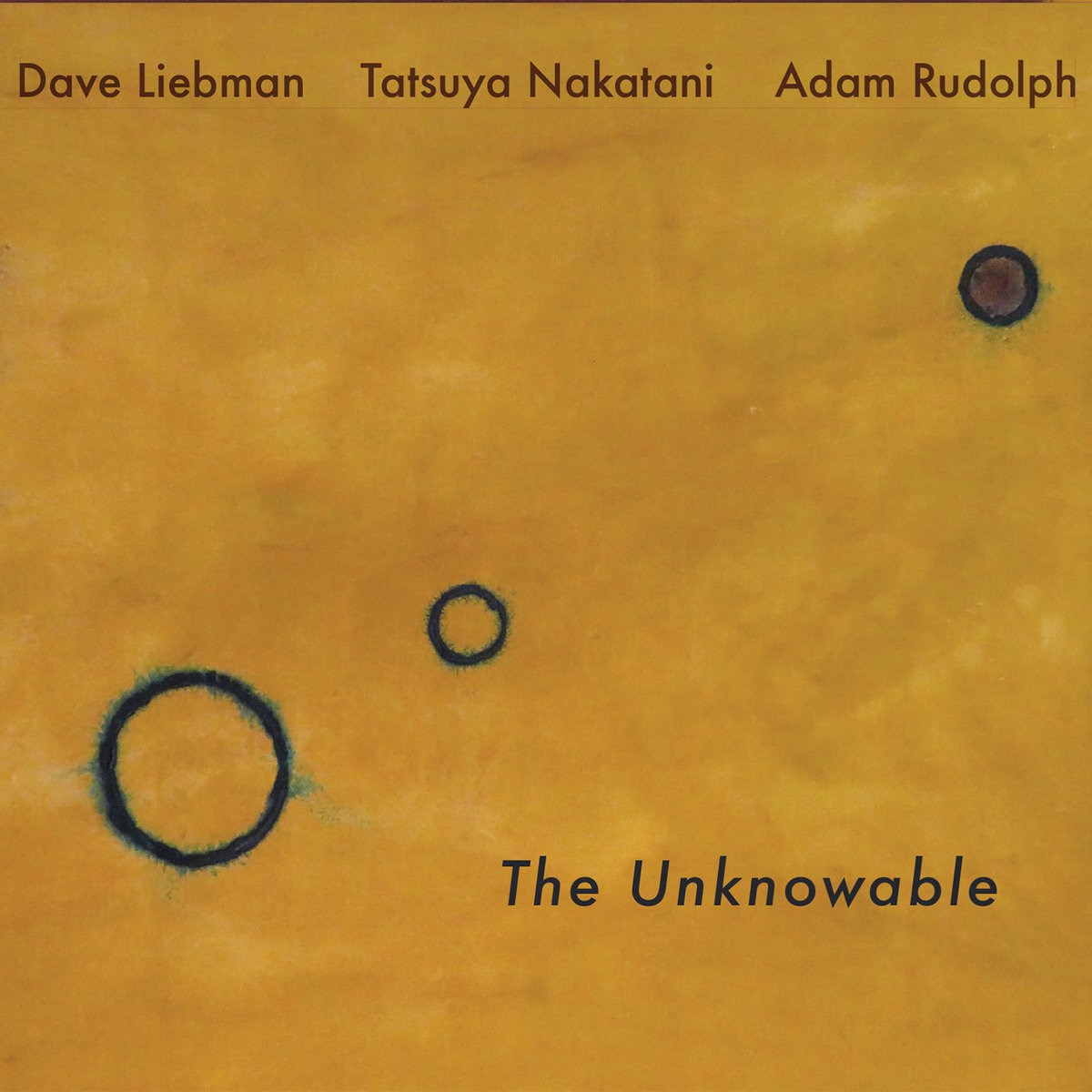Afbeelding van Dave Liebman, Adam Rudolph, Tatsuya Nakatami - The Unknowable