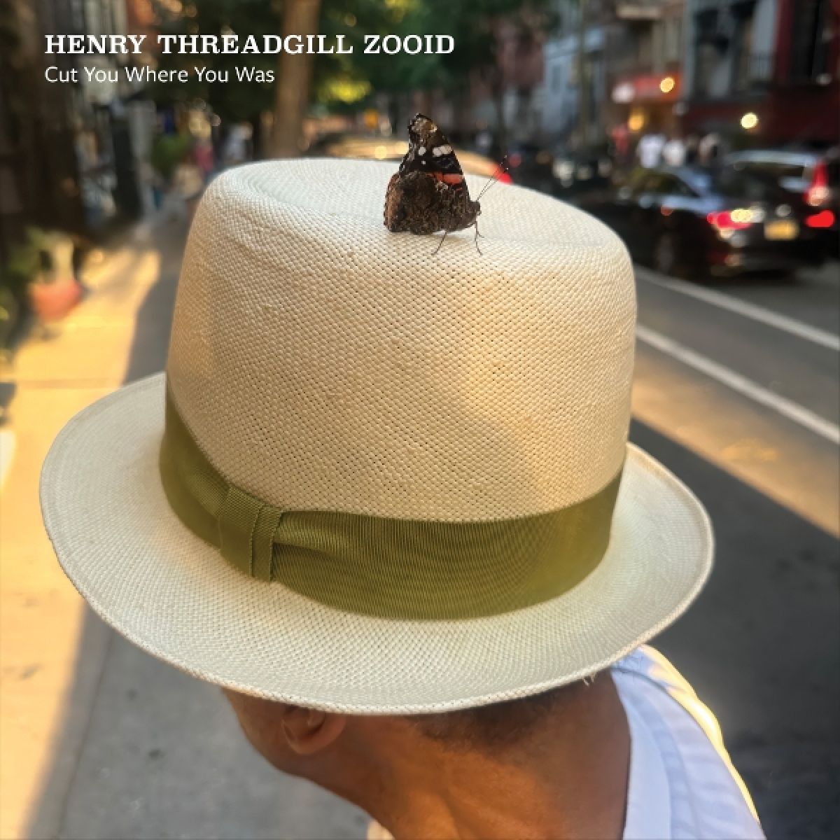 Afbeelding van Henry Threadgill Feat. Liberty Ellman & Christophe - Cut You Where You Was