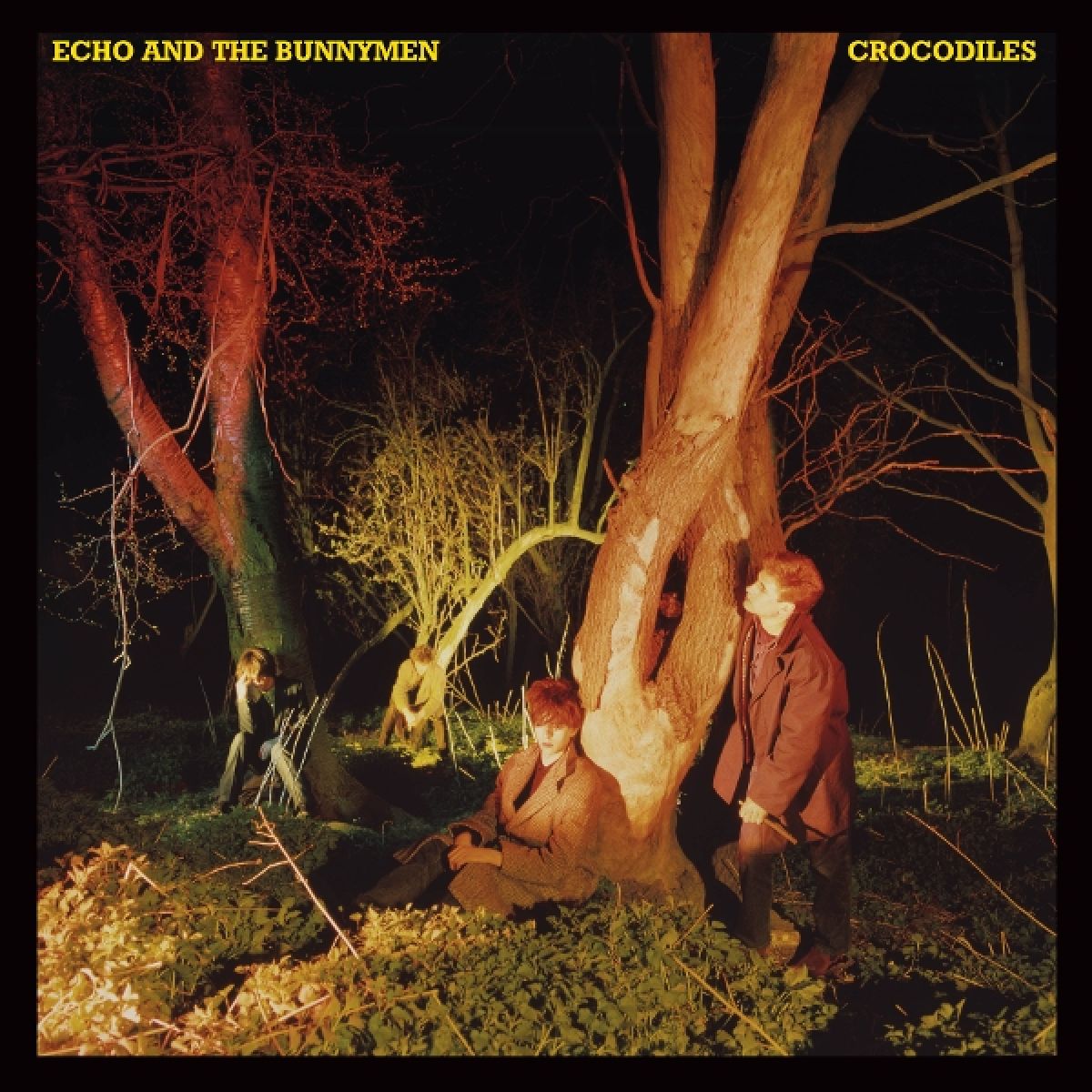 Afbeelding van Echo & The Bunnymen - Crocodiles