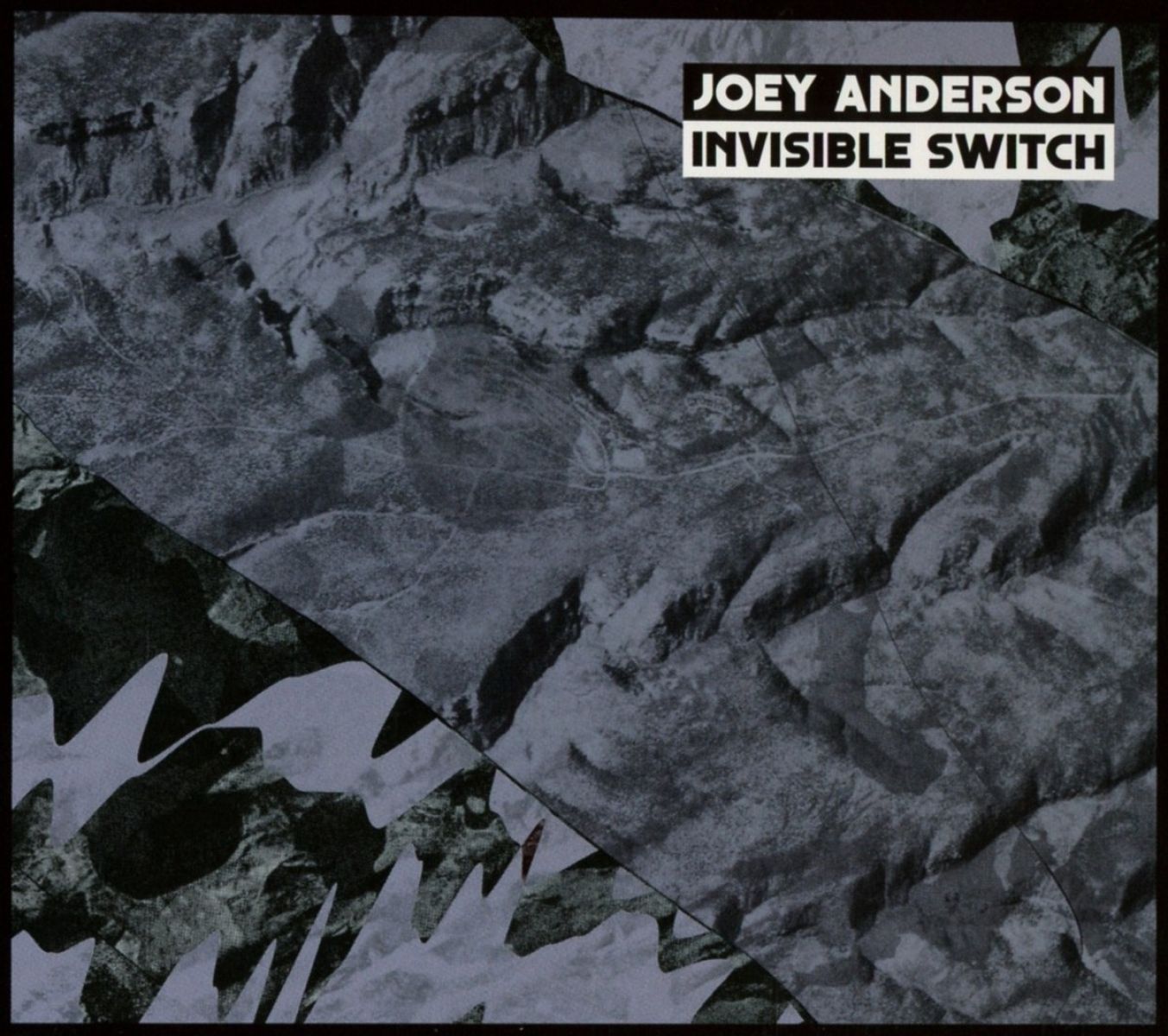 Afbeelding van Joey Anderson - Invisible Switch