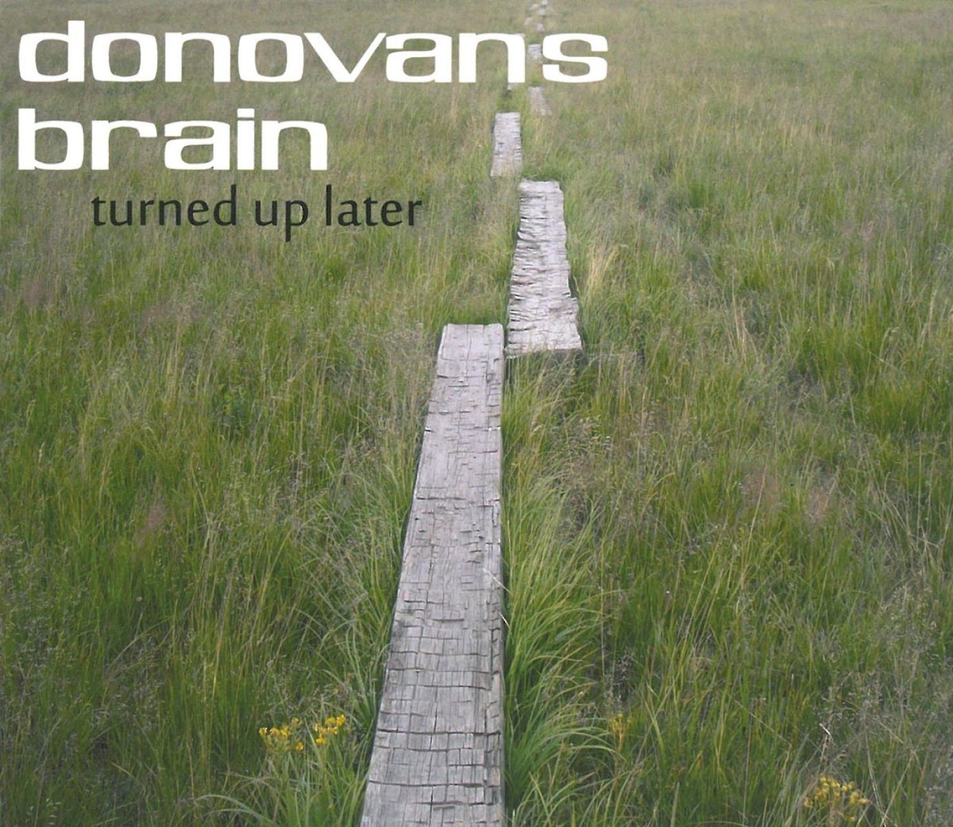 Afbeelding van Donovan's Brain - Turned Up Later