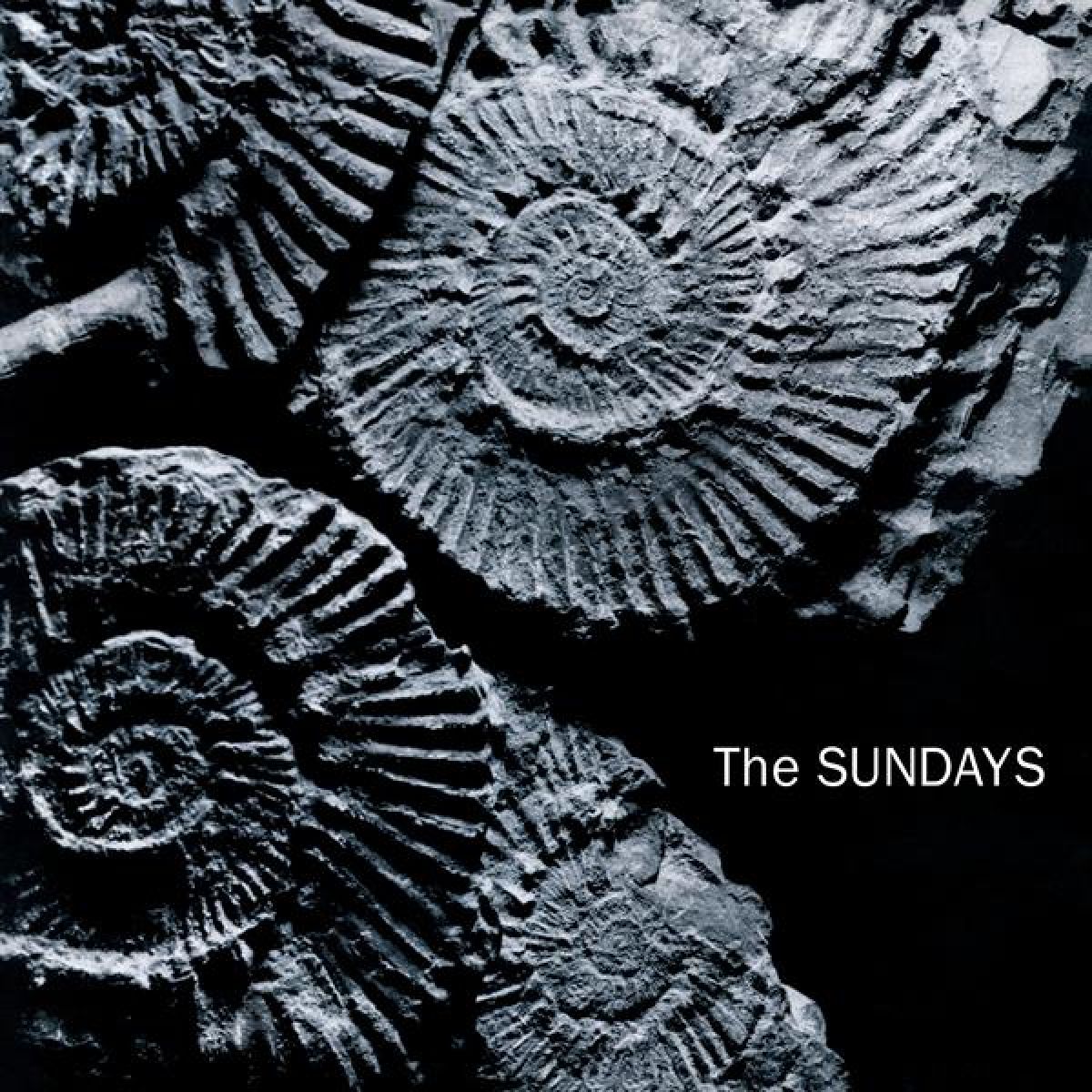 Afbeelding van The Sundays - Reading, Writing And Arithmetic