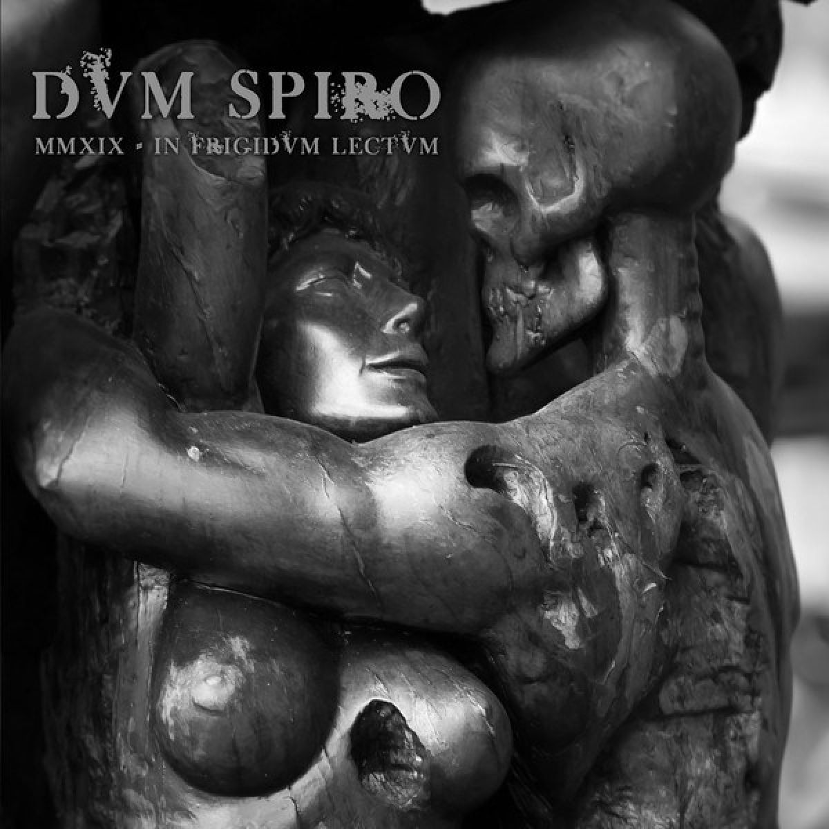 DVM Spiro - MMXIX - In Frigidvm Lectvm
